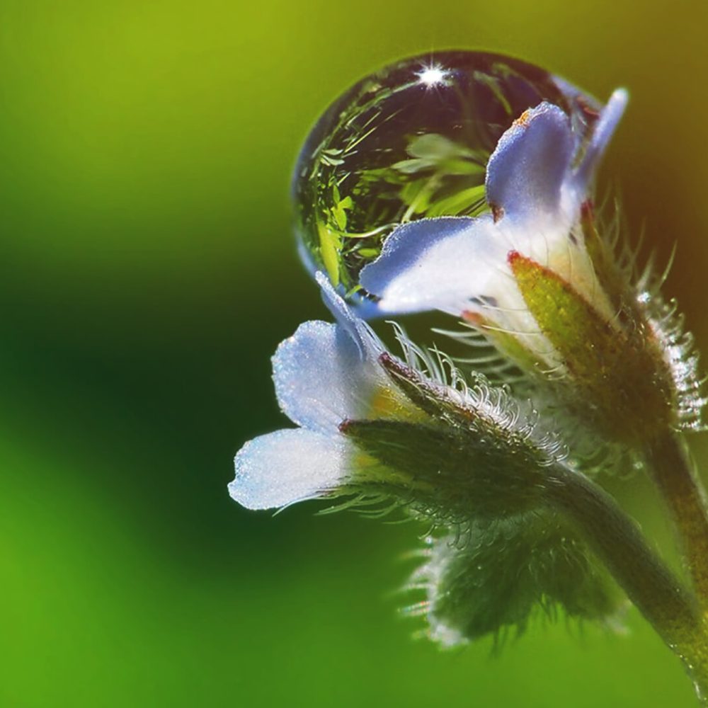Erde_Bachblu__ten_4